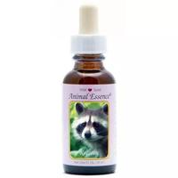 Animal Essences Raccoon (wasbeer) 30 Milliliter - thumbnail