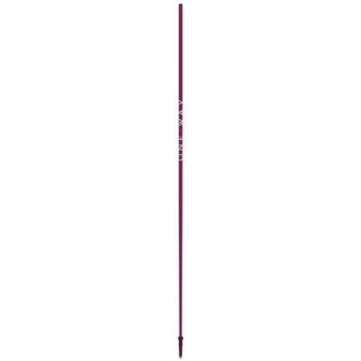 Fischer Gtx 14 Shaft Skistok Onderdeel Blackberry 140 Fischer Gtx 14 Shaft Skistok Onderdeel Blackberry 140