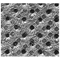 Festool Accessoires Filterzak Longlife-FIS-CT SYS - 500642 - thumbnail