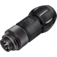 binder 99 4217 300 07 Ronde subminiatuurconnector Stekker, recht Totaal aantal polen: 6 + PE 1 stuk(s) - thumbnail
