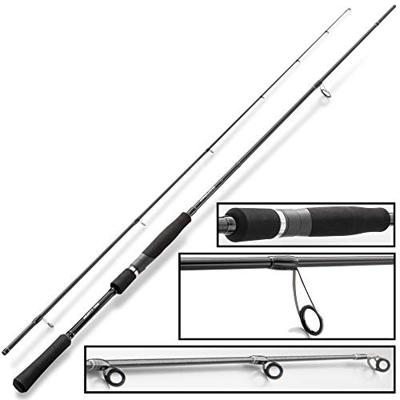 Hearty Rise Black Force 2,31 m 14-56 gr 762mH