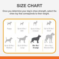 H.splg dura chew medley l ncf305 Nylabone - Nylabone - thumbnail