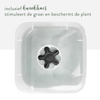 Bloempot Elho Plastic Vierkant - thumbnail