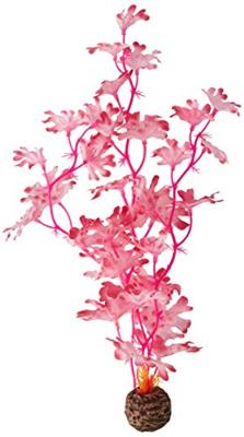 Aquariumtoebehoren zeewier set medium pink biOrb - Biorb