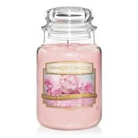 Yankee Candle 1610856E kaars Rond Roze 1 stuk(s) - thumbnail