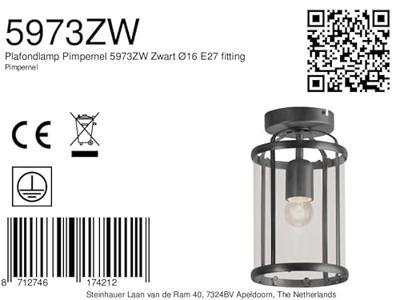 Steinhauer Klassieke plafondlampPimpernel zwart - 5973ZW