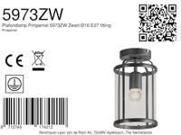 Steinhauer Klassieke plafondlampPimpernel zwart - 5973ZW - thumbnail