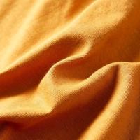 Kindershirt met lange mouwen dinosaurusprint 92 donkerokerkleurig - thumbnail