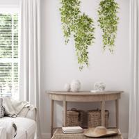 Peperomia Kunsthangplant bont 90cm - thumbnail