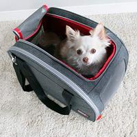 KONG 2-In-1 Pet Carrier and Travel Mat - thumbnail