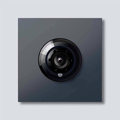 Siedle 210004900-01 Functiemodule voor Video-deurintercom Grijs