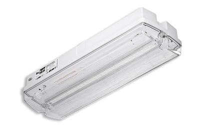 TEC LED N/N 840 4W Clear PT IP65