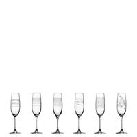 Leonardo Casella Champagne glazen met print, per 6 - thumbnail