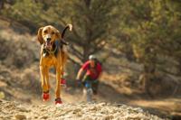 RUFFWEAR All-Terrain Hondenlaarzen (Set van 2), zeer grote rassen, maat: 83 mm/3,25 in, Obsidian Black, Grip Trex - thumbnail
