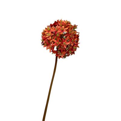 Roberts Collection Kunstbloem allium bol 60cm oranje Roberts Collection Kunstbloem allium bol 60cm oranje