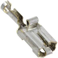 TE Connectivity 737015-3 Platte stekker (female) Vibratieveilig Insteekbreedte: 6.35 mm Insteekdikte: 0.81 mm 180 ° Ongeïsoleerd Zilver 1 stuk(s) - thumbnail