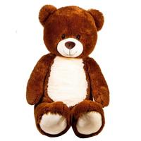 Van der Meulen Pluchen Beer 100 cm - thumbnail