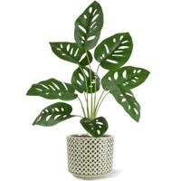 Monstera Adonsonii kunstplant 40cm - thumbnail