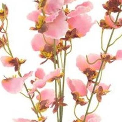 Oncidium orchid spray pink 93 cm kunstbloem Erutan Avon - Erutan avon