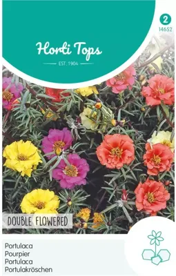 Zaden Portulaca dubbelbloemig gemengd Hortitops - Hortitops