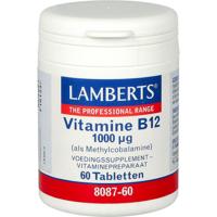 Vitamine B12 1000 mcg (als Methylcobalamine) - thumbnail