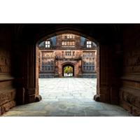 Sigma 16mm f/1.4 DC DN (C) RF Mount - thumbnail