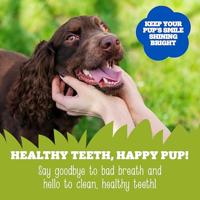 Soopa Dental Sticks met appel en bosbes voor de hond Per stuk - thumbnail