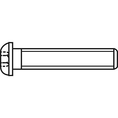 TOOLCRAFT 839802 Lenskopschroeven M4 20 mm Binnenzeskant (inbus) RVS A2 100 stuk(s)