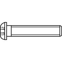 TOOLCRAFT 839802 Lenskopschroeven M4 20 mm Binnenzeskant (inbus) RVS A2 100 stuk(s) - thumbnail