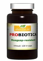 Elvitum Probiotica Vegicaps - thumbnail