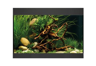 Oase StyleLine 125 Aquarium zwart Oase StyleLine 125 Aquarium zwart