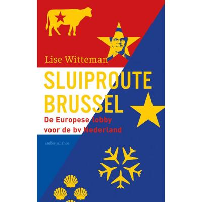 Sluiproute Brussel (Paperback)
