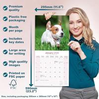 Jack Russell Terrier Kalender 2026 - thumbnail