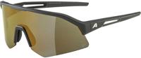 Alpina Sonic HR Q - Sports Glasses - thumbnail