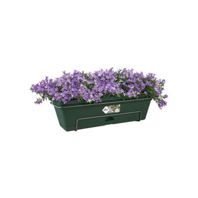Elho green basics balkonbak all-in-1 50 cm blad groen Elho green basics balkonbak all-in-1 50 cm blad groen