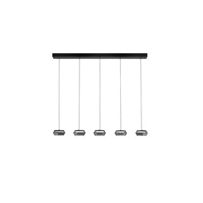 Lyora Strakke hanglampJailyn recht 5-lichts - 9236104