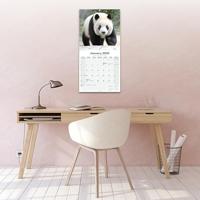 Panda Kalender 2026 - thumbnail