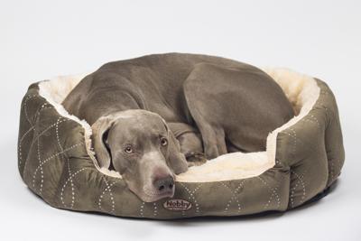 Nobby Ovaal bed met vulling van pluche met omkeerbaar kussen, 86 x 70 x 24 cm, grijs