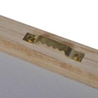 Canvas muurdruk set Zwaan 100 x 50 cm - thumbnail