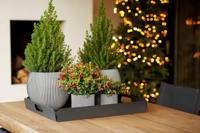 Capi Europe Vaas cilinder Groove - 15x17 - Antraciet - thumbnail