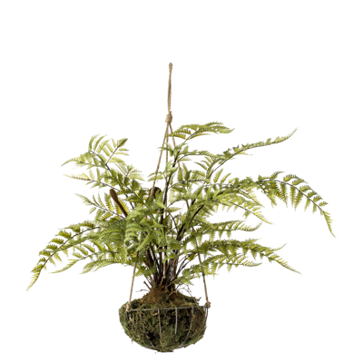 Kunst Hangplant Varen in Mand 65cm