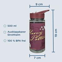 Harry Potter Drinkbeker Hogwarts Express Bordeaux (500ml) - thumbnail