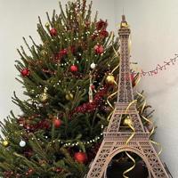 3D-puzzel - Eiffeltoren - EXPLORA - 540041 - 314 stukjes - Niveau 10 - Modelbouwset - Leeftijd 10+ - thumbnail