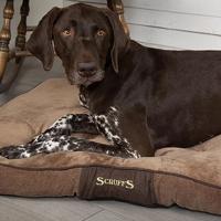Scruffs Chester hondenkussen Chocolate L - thumbnail