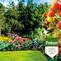 Pokon Bio lavameel 1750 gram - thumbnail