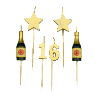 Taartkaarsjes Set 16 Jaar (6st) - thumbnail