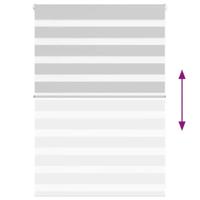 Zebra rolgordijn 115x100 cm stofbreedte 110,9 cm lichtgrijs - thumbnail