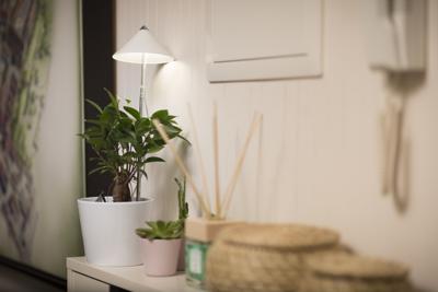 Venso LED-plantenlamp SUNLiTE 230 V LED vast ingebouwd 7 W Neutraalwit 1 stuk(s) Venso LED-plantenlamp SUNLiTE 230 V LED vast ingebouwd 7 W Neutraalwit 1 stuk(s)