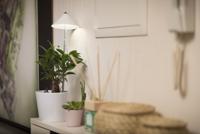 Venso LED-plantenlamp SUNLiTE 230 V LED vast ingebouwd 7 W Neutraalwit 1 stuk(s) - thumbnail