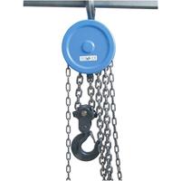 Berger & Schröter 60008 Kettingkatrol - thumbnail